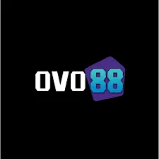 OVO88 - Aplikasi Live Streaming Sosial & Chat Terbaik
